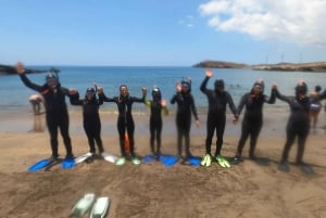 Tenerife: Snorkeltur i et beskyttet havområde
