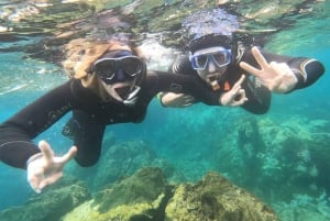 Tenerife: Snorkeltur i et marint verneområde