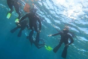 Tenerife: Snorkeltur i et beskyttet havområde