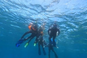 Tenerife: Snorkeltur i et marint verneområde