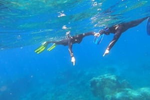 Tenerife: Snorkeling Tour in a Marine Protected Area