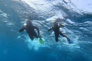 Tenerife: Excursión de snorkel en una zona marina protegida