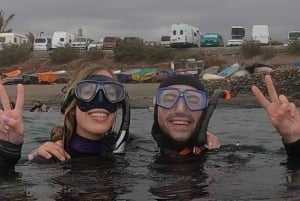 Teneryfa: Snorkeling w morskim obszarze chronionym