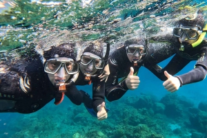 Tenerife: Snorkeltour in een beschermd zeegebied