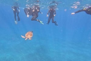 Tenerife: Snorkeltour in een beschermd zeegebied