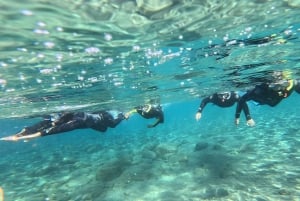 Tenerife: Snorkeltour in een beschermd zeegebied