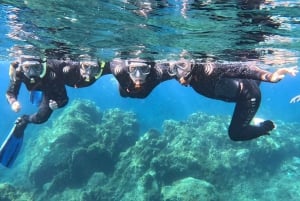 Tenerife: Snorkeltour in een beschermd zeegebied