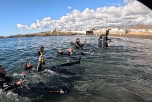 Tenerife: Snorkeltour in een beschermd zeegebied