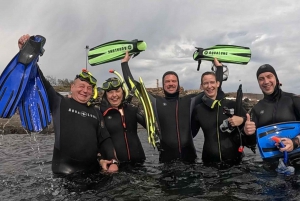 Tenerife: Snorkeltour in een beschermd zeegebied