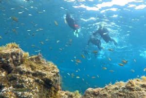 Tenerife: Snorkeltour in een beschermd zeegebied