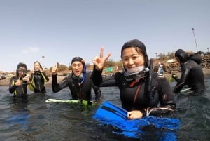 Tenerife: Snorkeltur velegnet til IKKE-SVØMMERE