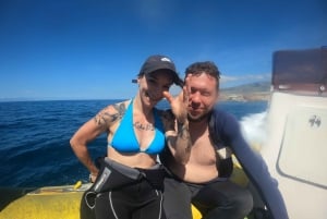 Tenerife: Snorkeling Trip in a Turtle Habitat