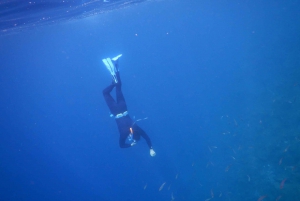 Tenerife : Snorkeling underwater with freediving Instructor