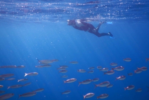 Tenerife : Snorkeling underwater with freediving Instructor