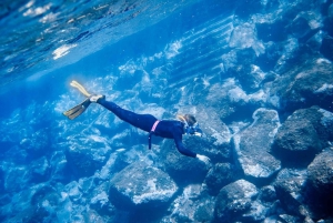 Tenerife : Snorkeling underwater with freediving Instructor