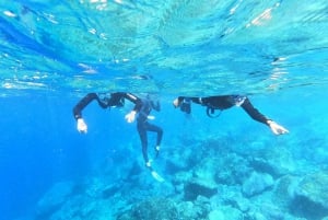 Tenerife : Snorkeling underwater with freediving Instructor