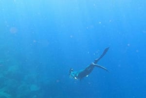 Tenerife : Snorkeling underwater with freediving Instructor