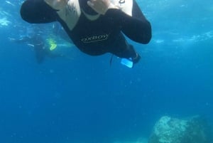 Tenerife : Snorkeling underwater with freediving Instructor