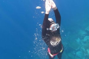 Tenerife : Snorkeling underwater with freediving Instructor