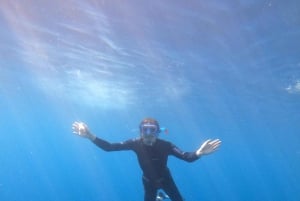 Tenerife : Snorkeling underwater with freediving Instructor