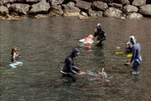 Tenerife : Snorkeling underwater with freediving Instructor