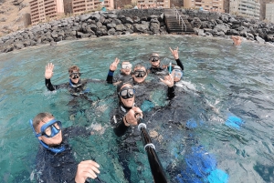 Tenerife: Snorkeling subaquático com instrutor de mergulho livre
