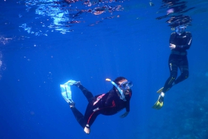 Tenerife: Snorkeling subaquático com instrutor de mergulho livre
