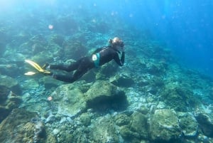 Tenerife: Snorkeling subaquático com instrutor de mergulho livre