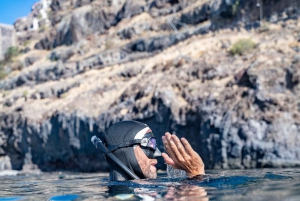 Tenerife: Snorkeling subaquático com instrutor de mergulho livre