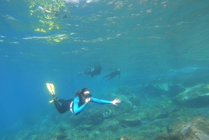 Tenerife: Snorkeling subaquático com instrutor de mergulho livre