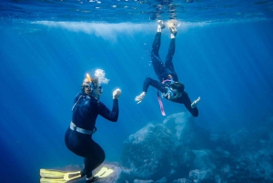 Tenerife: Snorkeling subaquático com instrutor de mergulho livre