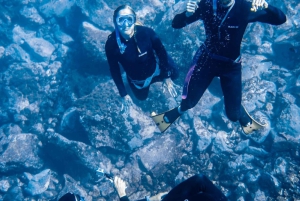 Tenerife: Snorkeling subaquático com instrutor de mergulho livre