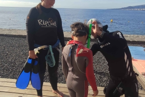 Tenerife: Snorkeling subaquático com instrutor de mergulho livre