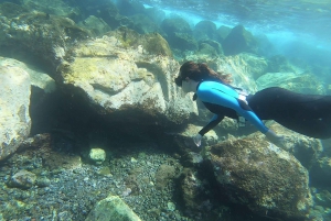 Tenerife: Snorkeling subaquático com instrutor de mergulho livre