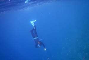 Tenerife: Snorkeling subaquático com instrutor de mergulho livre