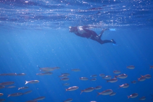 Tenerife: Snorkeling subaquático com instrutor de mergulho livre