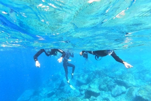Tenerife: Snorkeling subaquático com instrutor de mergulho livre