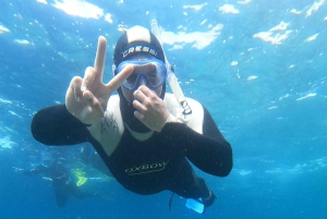 Tenerife: Snorkeling subaquático com instrutor de mergulho livre
