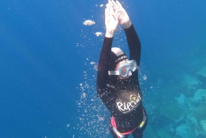 Tenerife: Snorkeling subaquático com instrutor de mergulho livre