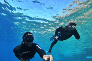 Tenerife: Snorkeling subaquático com instrutor de mergulho livre