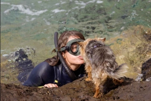 Tenerife: Snorkeling subaquático com instrutor de mergulho livre