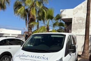 Tenerife: Snorkling på jagt efter skildpadder og rokker