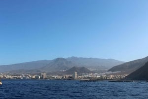 Tenerife: South Coast Jet Ski Experience