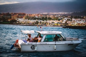 Tenerife: South Island Boat-Trip and Sea Excursion
