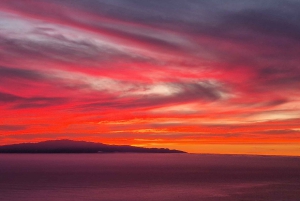 Tenerife: Båttur og utflukt til sjøen på Sørøya