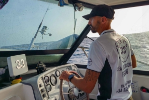 Tenerife: Båttur og utflukt til sjøen på Sørøya