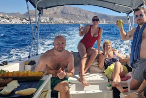 Tenerife: Båttur og utflukt til sjøen på Sørøya