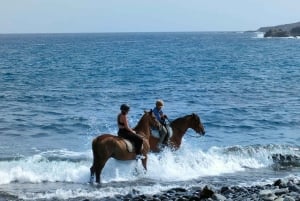 Tenerife Sul: Passeio a cavalo particular até a costa