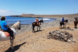 Tenerife Sul: Passeio a cavalo particular até a costa