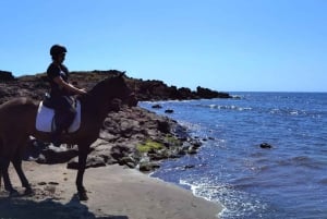 Tenerife Sul: Passeio a cavalo particular até a costa